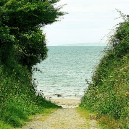 Souvenirs d'une virée en Irlande.