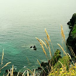 Souvenirs d'une virée en Irlande.