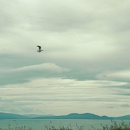 Souvenirs d'une virée en Irlande.