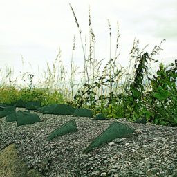 Souvenirs d'une virée en Irlande.