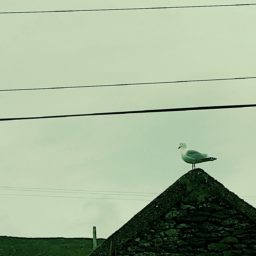 Souvenirs d'une virée en Irlande.