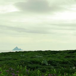 Souvenirs d'une virée en Irlande.