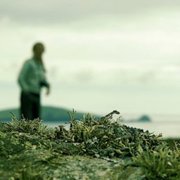 Souvenirs d'une virée en Irlande.