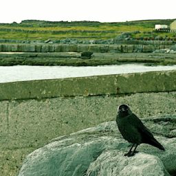 Souvenirs d'une virée en Irlande.