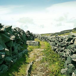 Souvenirs d'une virée en Irlande.