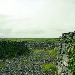 Souvenirs d'une virée en Irlande.