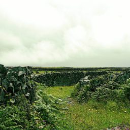 Souvenirs d'une virée en Irlande.