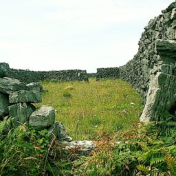 Souvenirs d'une virée en Irlande.