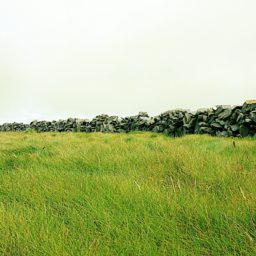 Souvenirs d'une virée en Irlande.