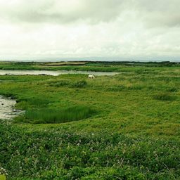 Souvenirs d'une virée en Irlande.