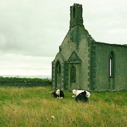 Souvenirs d'une virée en Irlande.