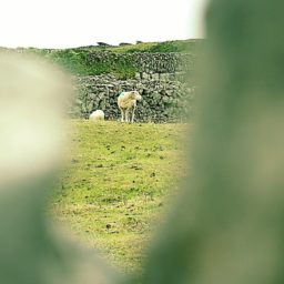 Souvenirs d'une virée en Irlande.