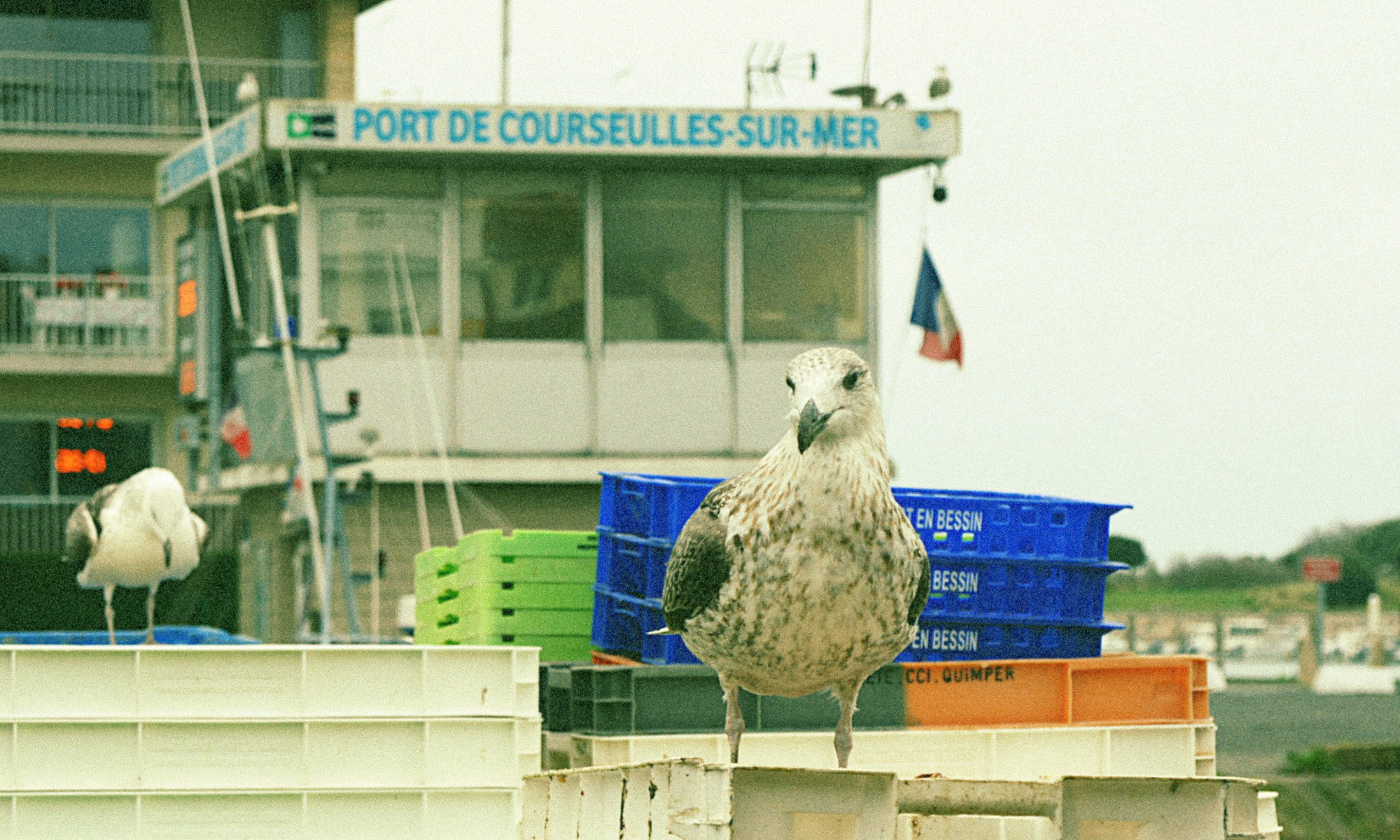 Vol à l'étalage.